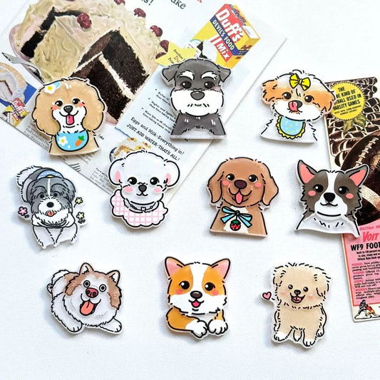 Acrylic Decor Charm